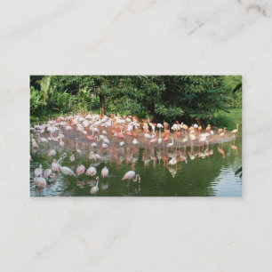 flamingo flock nature business card