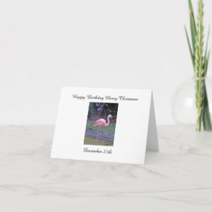 Flamingo Greetings Card