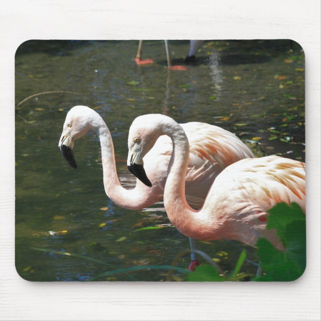 Flamingo in a pond with green tree's mouse mat (Front)
