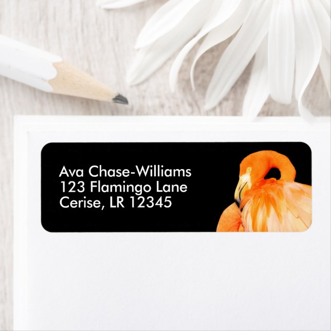 Flamingo in the Summer Sun (Insitu)