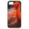 Flamingo iPhone 5 case
