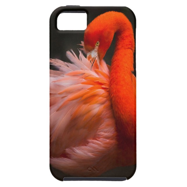 Flamingo iPhone 5 case (Back)