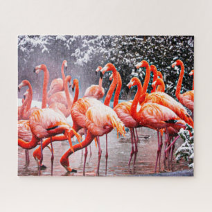 Flamingo Jigsaw Puzzle