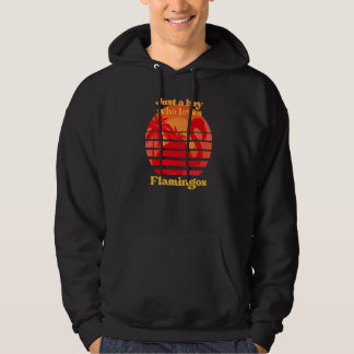 Flamingo Just A Boy Who Loves Flamingos Pink Bird  Hoodie