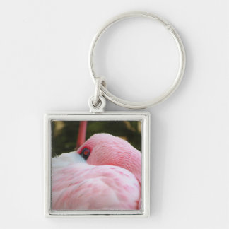 Flamingo key ring