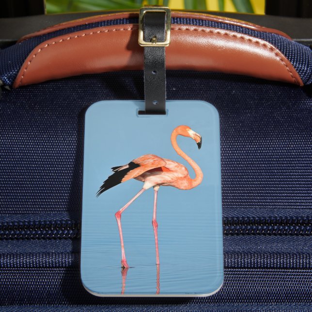Flamingo Lake Walk | Birds Luggage Tag (Front Insitu 2)