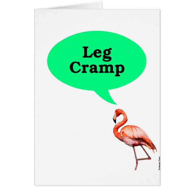 Flamingo Leg Cramp (Front)