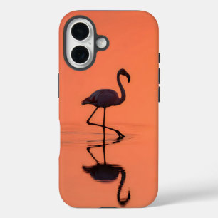 Flamingo long legs cast a shadow in shallow water iPhone 16 case