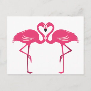 Flamingo Love Postcard
