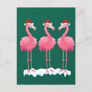 Flamingo Lover Xmas Lighting Santa Pink Flamingos Postcard