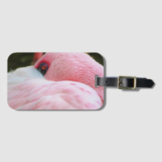 Flamingo  luggage tag