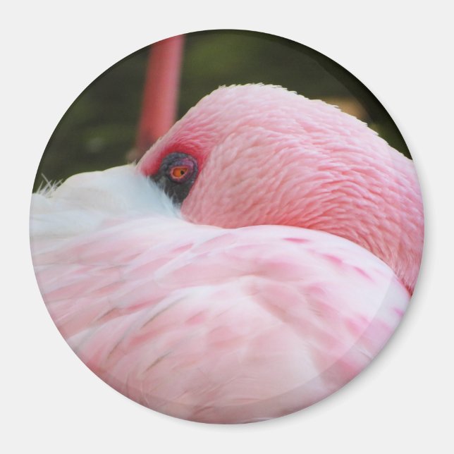 Flamingo  magnet (Front)