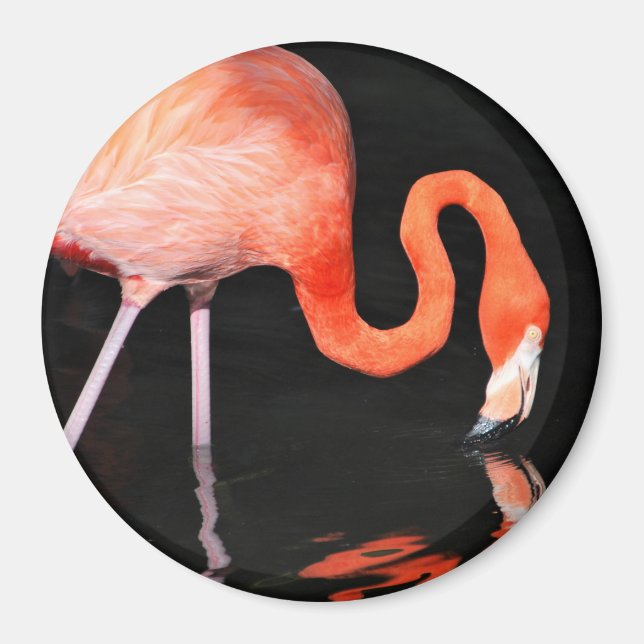 Flamingo Magnet (Front)