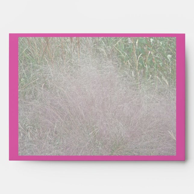 Flamingo Marsh Grass at the Shore Envelope (Front)