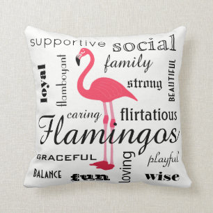 Flamingo Meaning Cushion