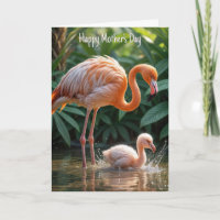 Flamingo Mother With Chick
