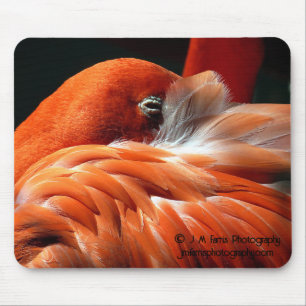 Flamingo Mouse Mat