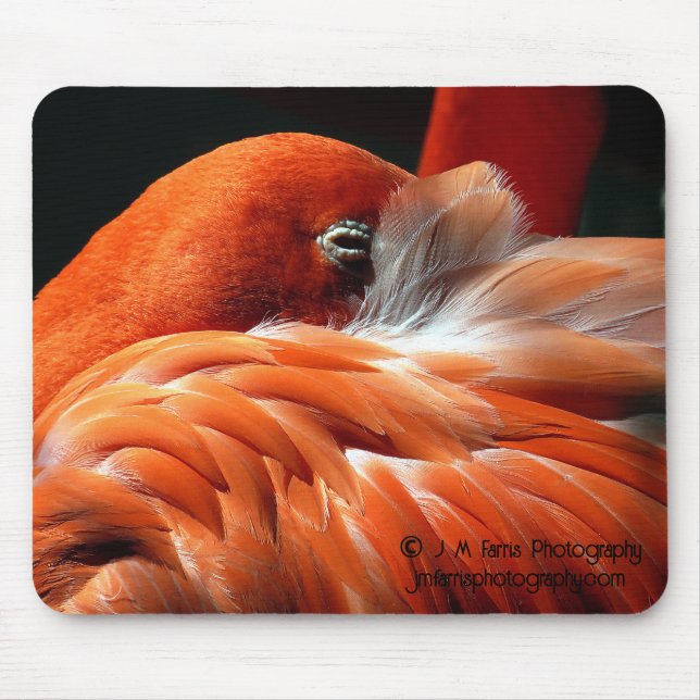 Flamingo Mouse Mat (Front)