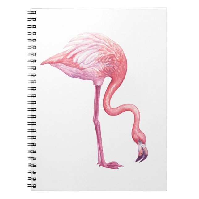 Flamingo Notebook (Front)