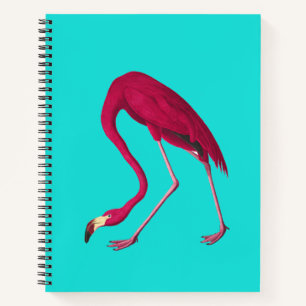 Flamingo Notebook