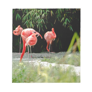 flamingo notepad