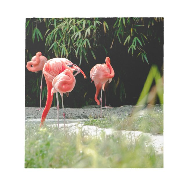flamingo notepad (Front)