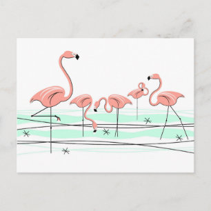 Flamingo Ocean Group postcard
