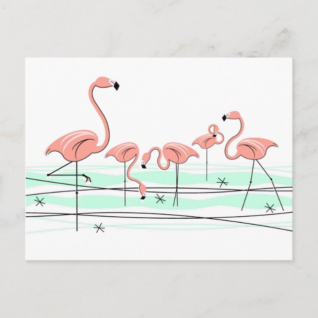 Flamingo Ocean Group postcard (Front)