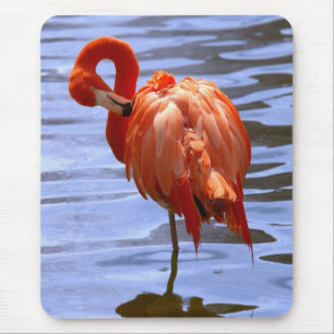 Flamingo on one leg in water mouse mat