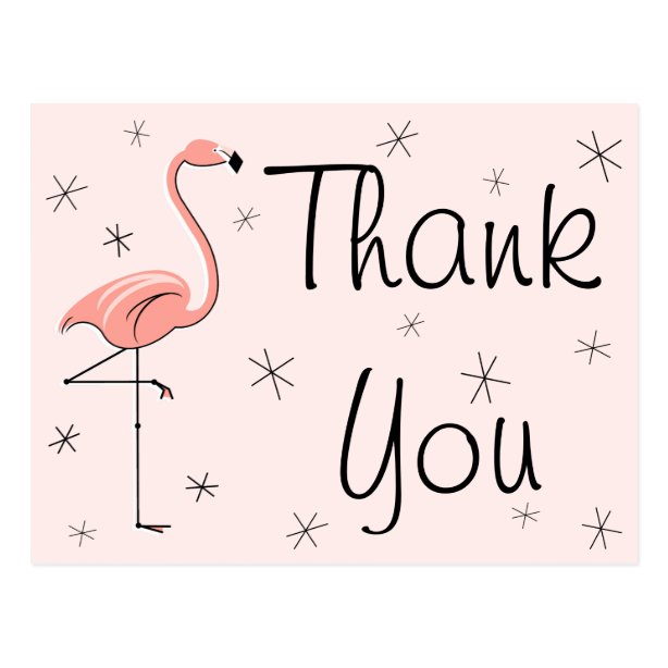 Flamingo Thank You Cards | Zazzle UK