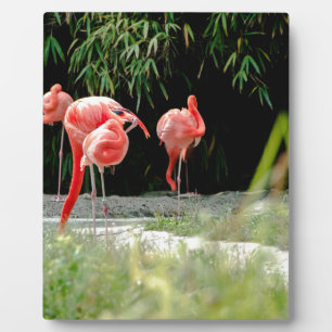 flamingo plaque