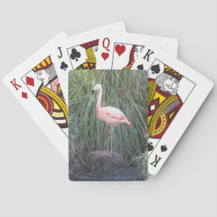Flamingo Playing Cards