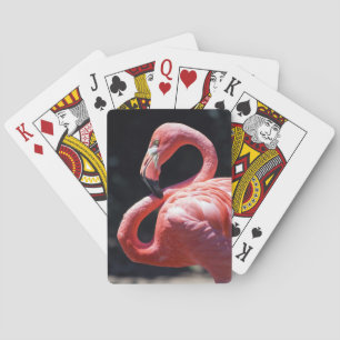 Flamingo Playing Cards