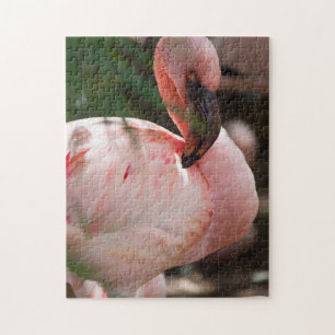 Flamingo Portrait Jigsaw Puzzle