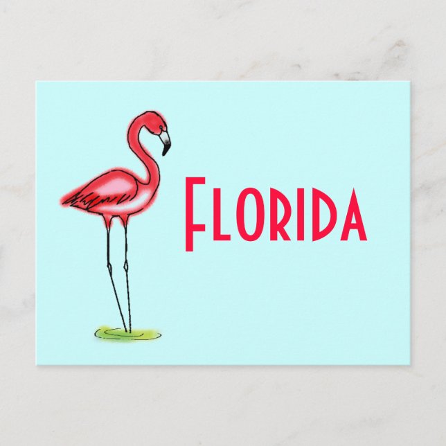 Flamingo Postcard (Front)