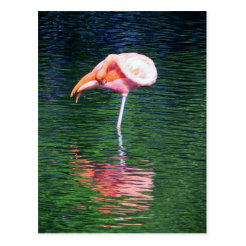 flamingo presents