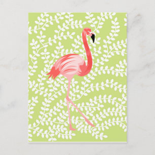 Flamingo Postcard