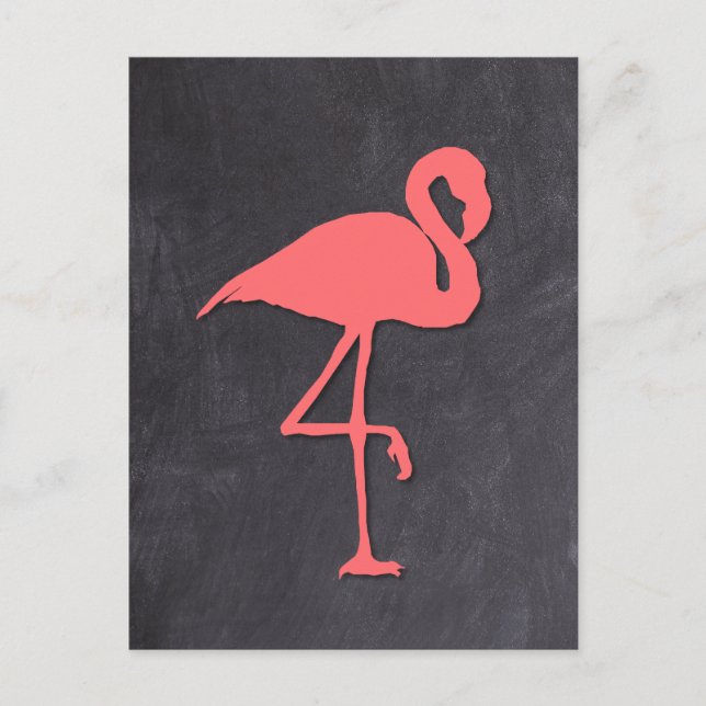 Flamingo Postcard (Front)