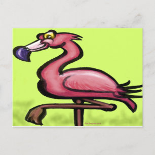 Flamingo Postcard