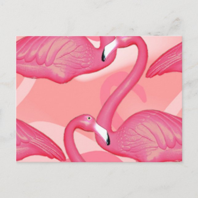 Flamingo Postcard (Front)