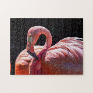 Flamingo Puzzle