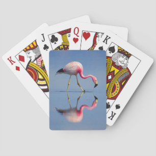 flamingo reflection playing cards
