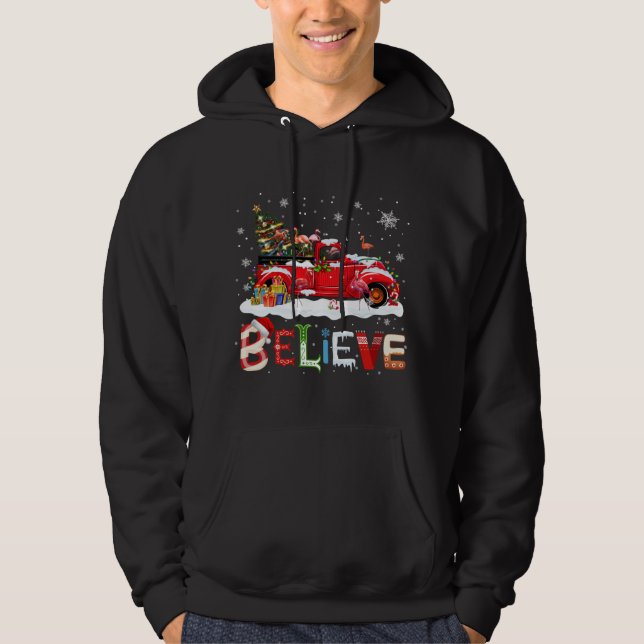Flamingo Riding Red Truck Christmas Tree Believe S Hoodie (Front)