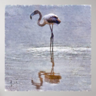 Flamingo Ripples and Reflections Watercolor Poster