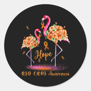 Flamingo Rsd Crps Awareness 1 Classic Round Sticker
