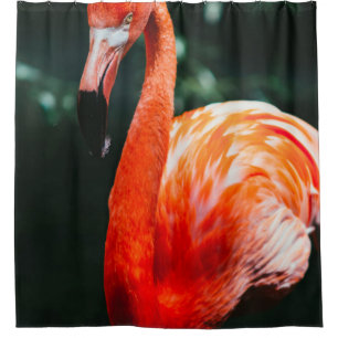 FLAMINGO SHOWER CURTAIN