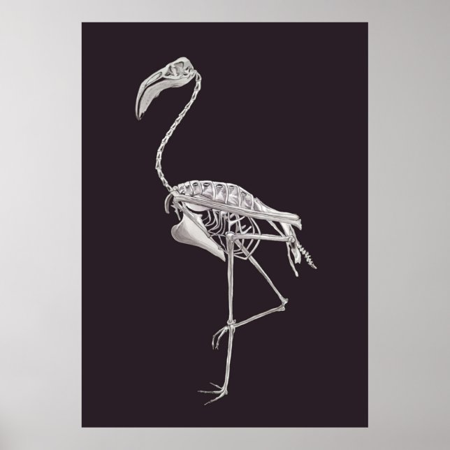 Flamingo Skeleton Bird Halloween Animal Anatomy Poster (Front)