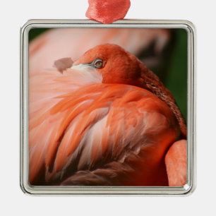 Flamingo square Ornament