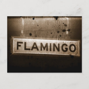 Flamingo Street Las Vegas Postcard