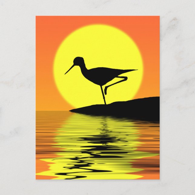 Flamingo Sunset Postcard (Front)